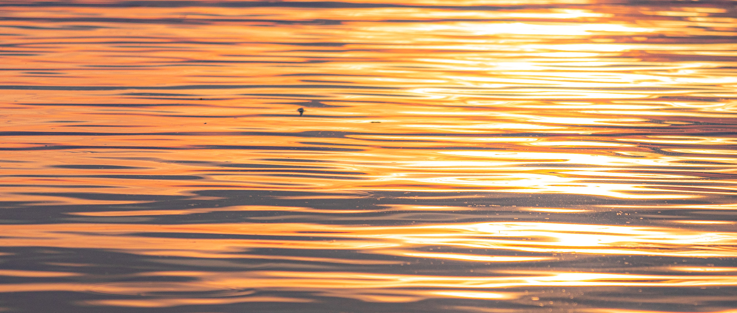 20230506201354 RD4 3900